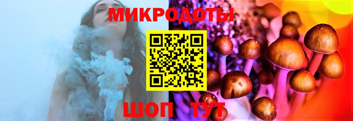 Аша  Псилоцибиновые грибы мицелий  Вход с VPN 